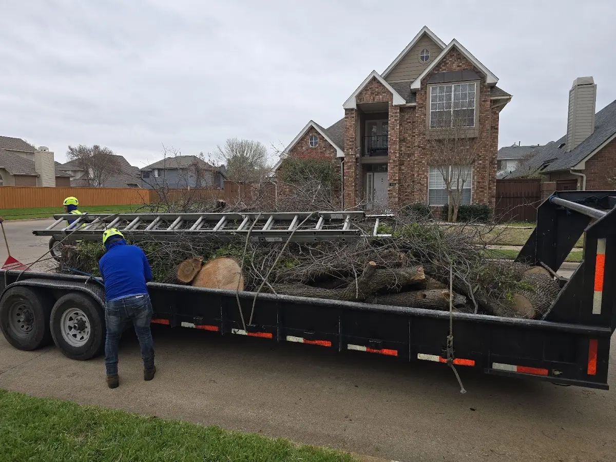 Expert Lot Clearing with proper safety equipment in Sparta